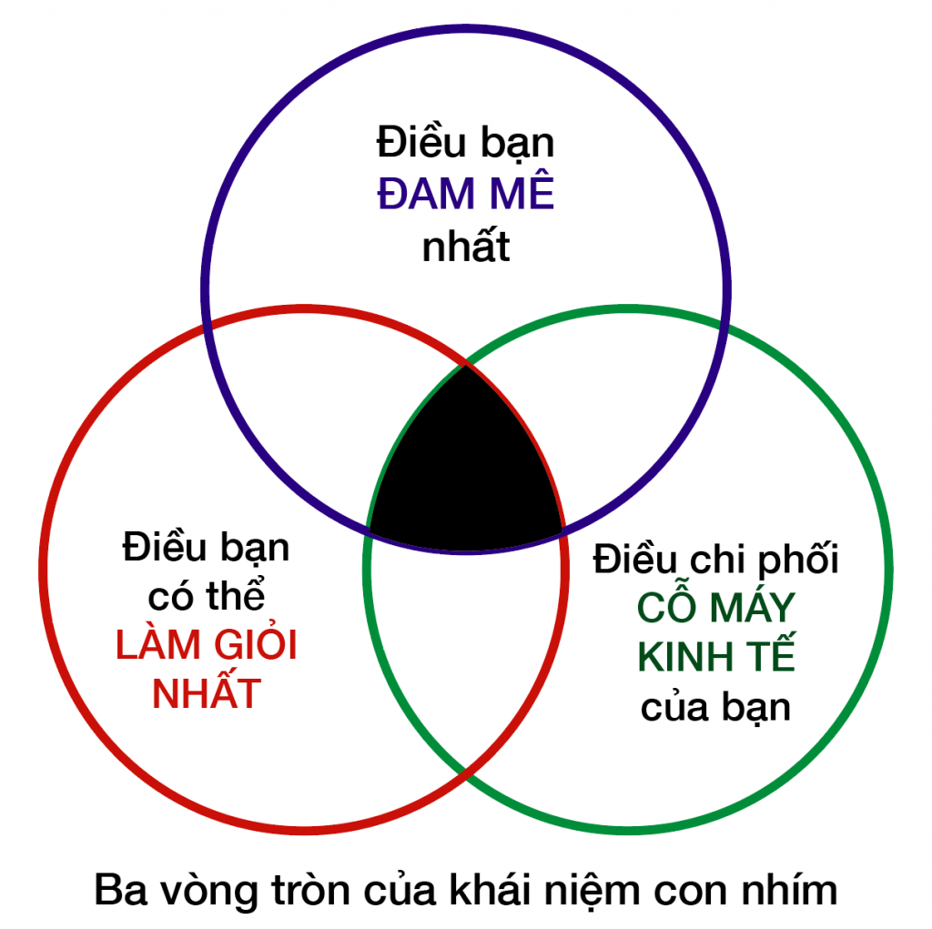 ba vòng tròn con nhím